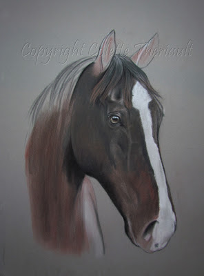 progress of a horse painting commission in pastel by Colette Theriault