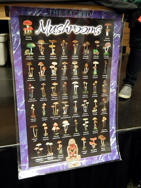 The Sacred Mushrooms poster -  Vancouver Mushrooms Show Fall 2011 