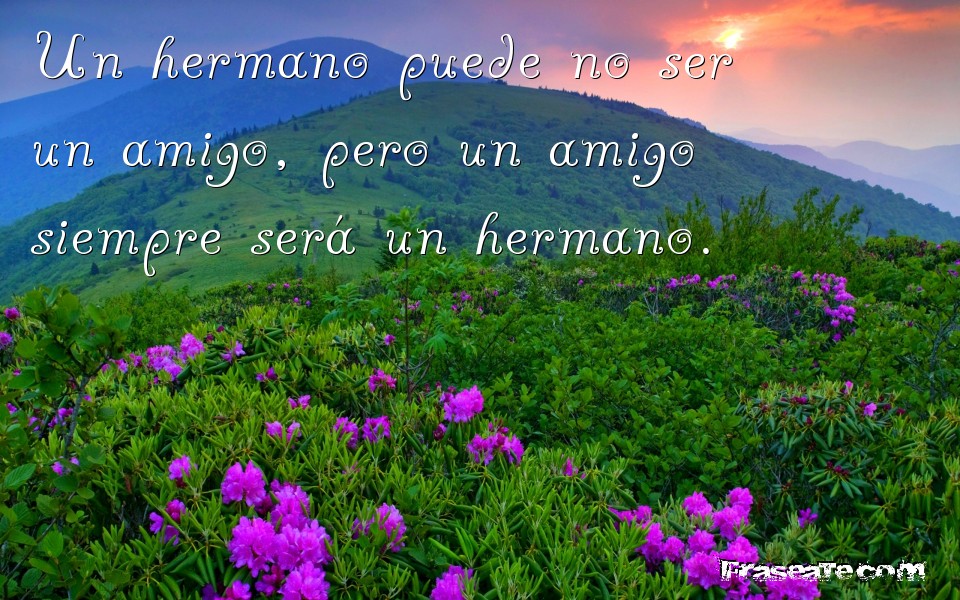 Resultado de imagen de bonitas frases para impresionar