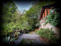 Das kleine Haus im Wald - Das nächste Jahr