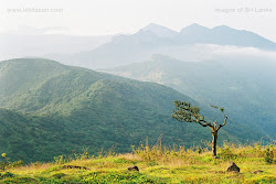 The Sri Lanka beauty
