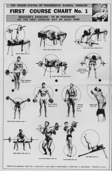 Bodybuilding Exercises Chart With Pictures