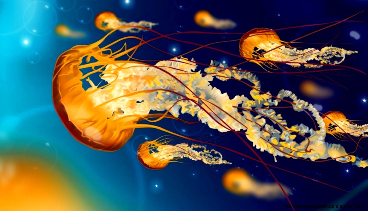 Jellyfish Ocean Bubbles Art Hd Wallpaper Wallpaper List Jellyfish Ocean Bubbles Art Hd Wallpaper Wallpaper List