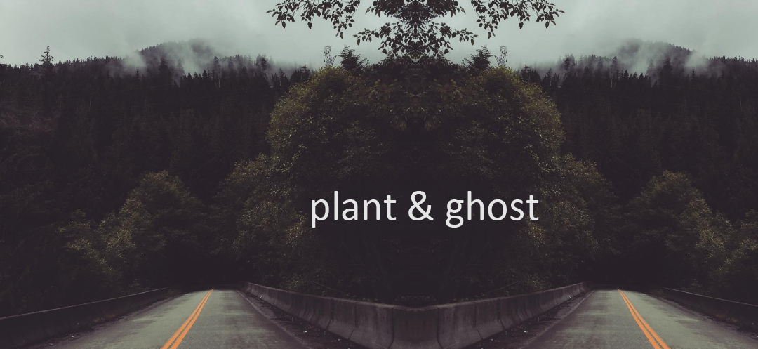 plant & ghost