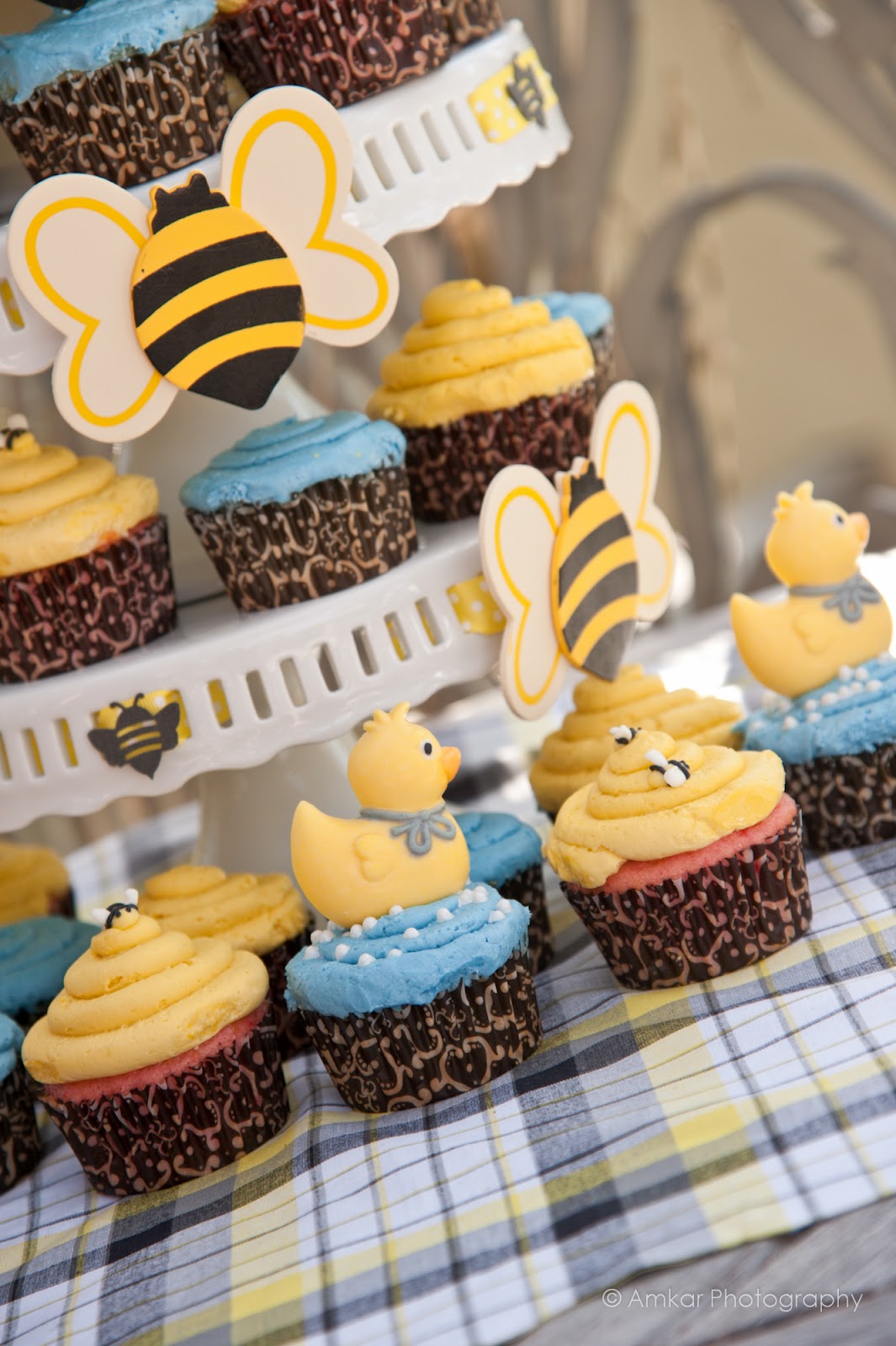 Running from the Law Mac's Family Baby Shower