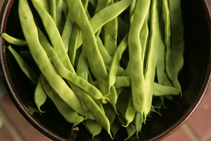 The green of these beans is perfect. - He Started With Some Boxes, 60 Days Later, The Neighbors Could Not Believe What He Built The green of these beans is perfect. - He Started With Some Boxes, 60 Days Later, The Neighbors Could Not Believe What He Built