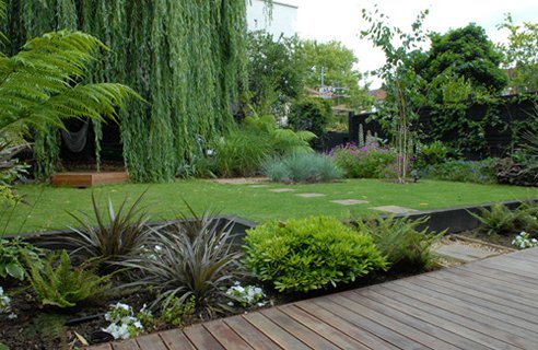 Dr. Dan's Garden Tips
