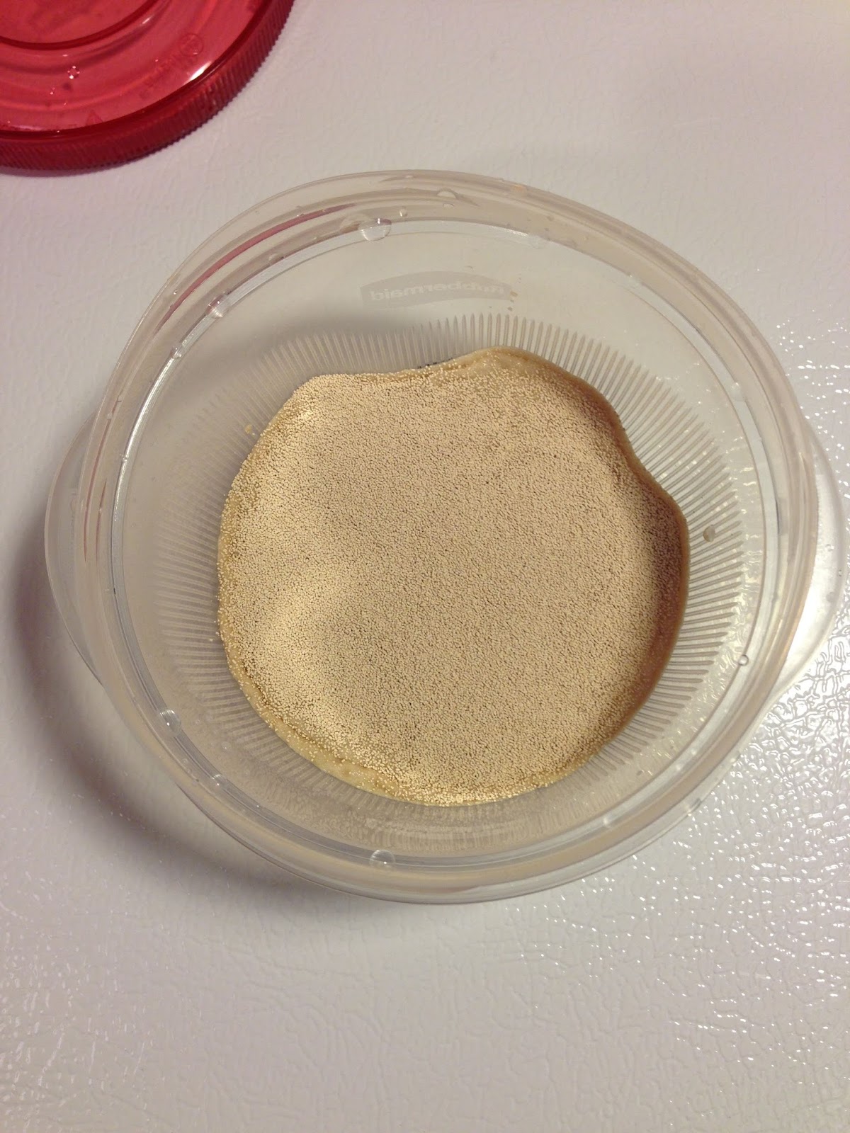 Step by Step Rehydrating Dried Yeast Using Rubbermaid TakeAlong