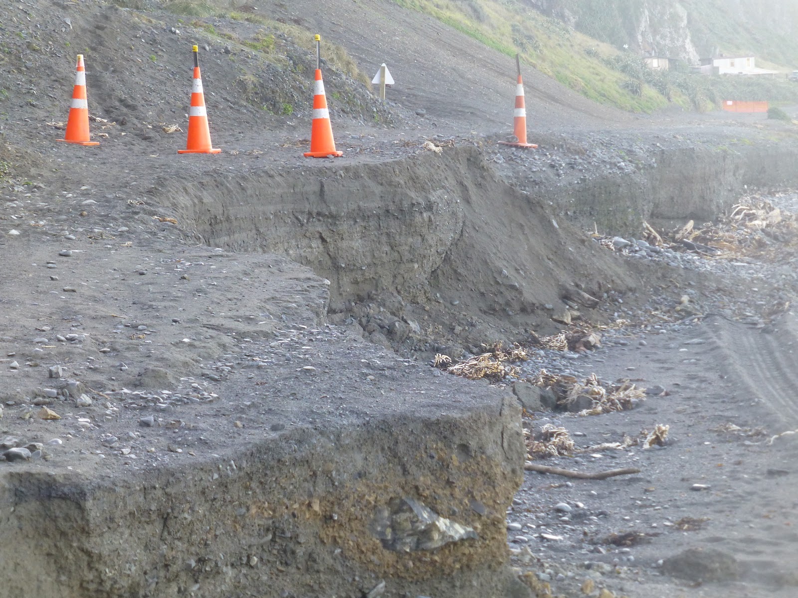 Red Rocks and Karori Light House Wellington Walks wildbayNZ