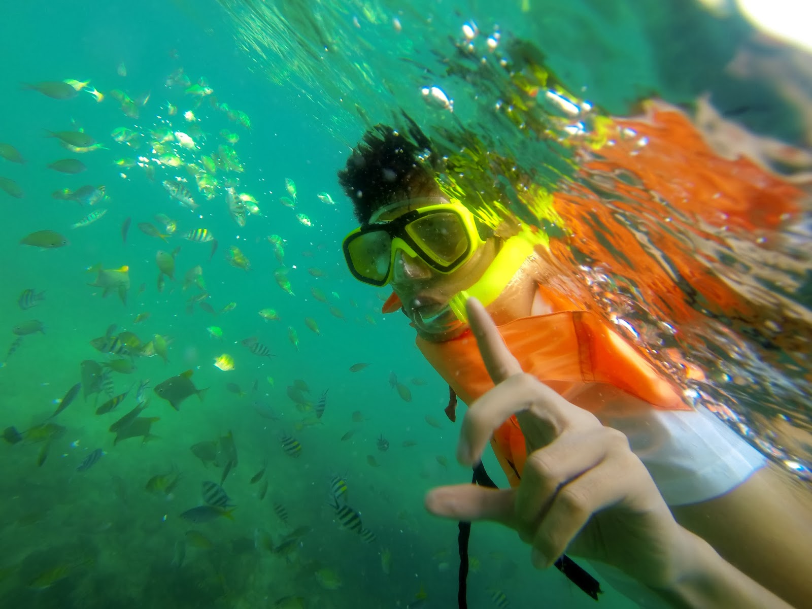 H E L L O ♥ K I M M Y Snorkeling at Hundred Islands Coral Garden