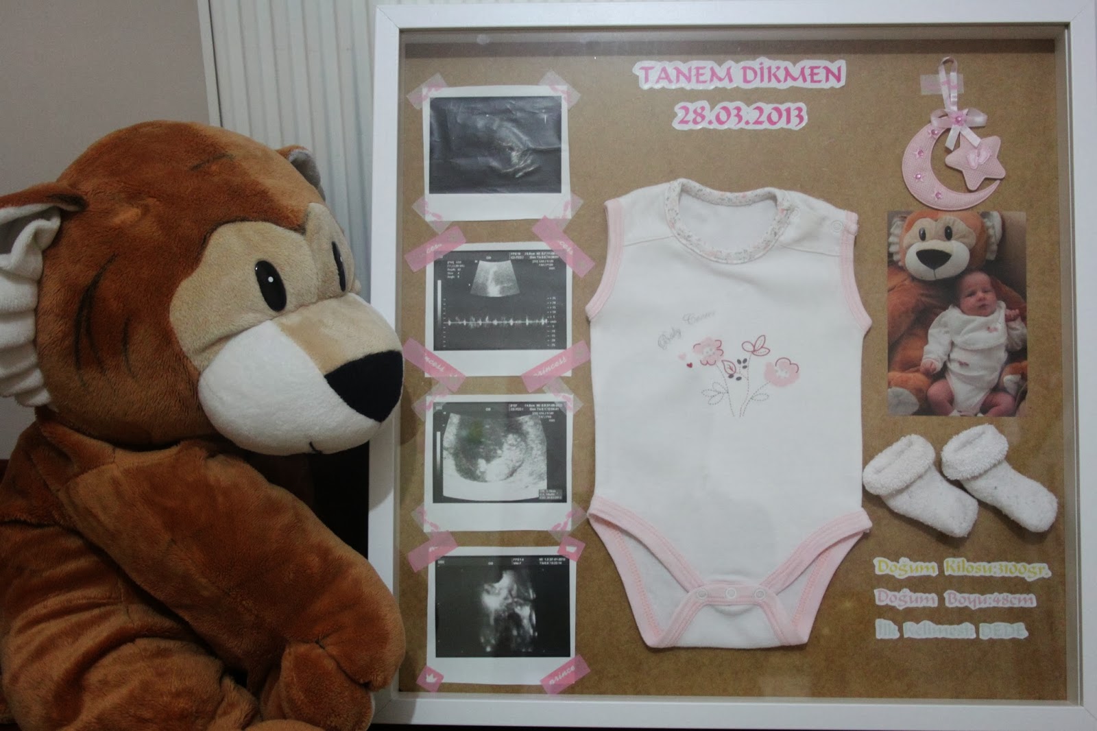 GONCA�NIN SEPETİ Şubat 2014