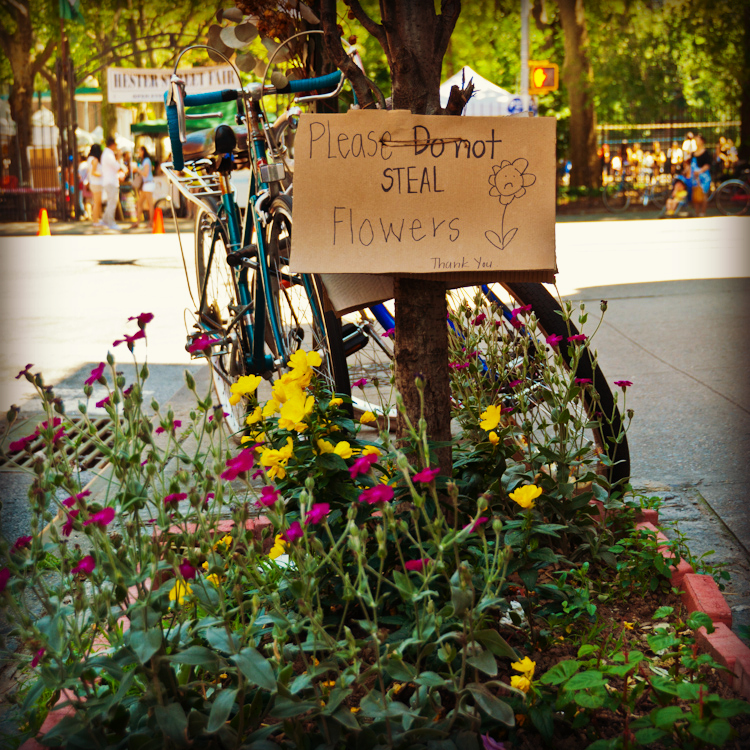 Nellies' Photos Please do not steal flowers