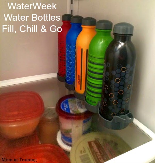 Stacy Tilton Reviews It's go time with Reusable Coffee Cups & Water