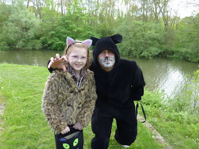 belgium festival of cats