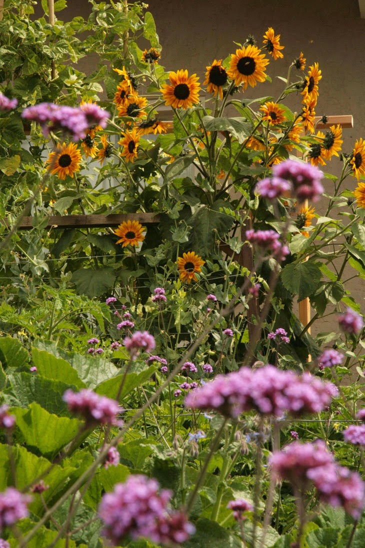 Of course, a few planted flowers never hurt either. - He Started With Some Boxes, 60 Days Later, The Neighbors Could Not Believe What He Built Of course, a few planted flowers never hurt either. - He Started With Some Boxes, 60 Days Later, The Neighbors Could Not Believe What He Built