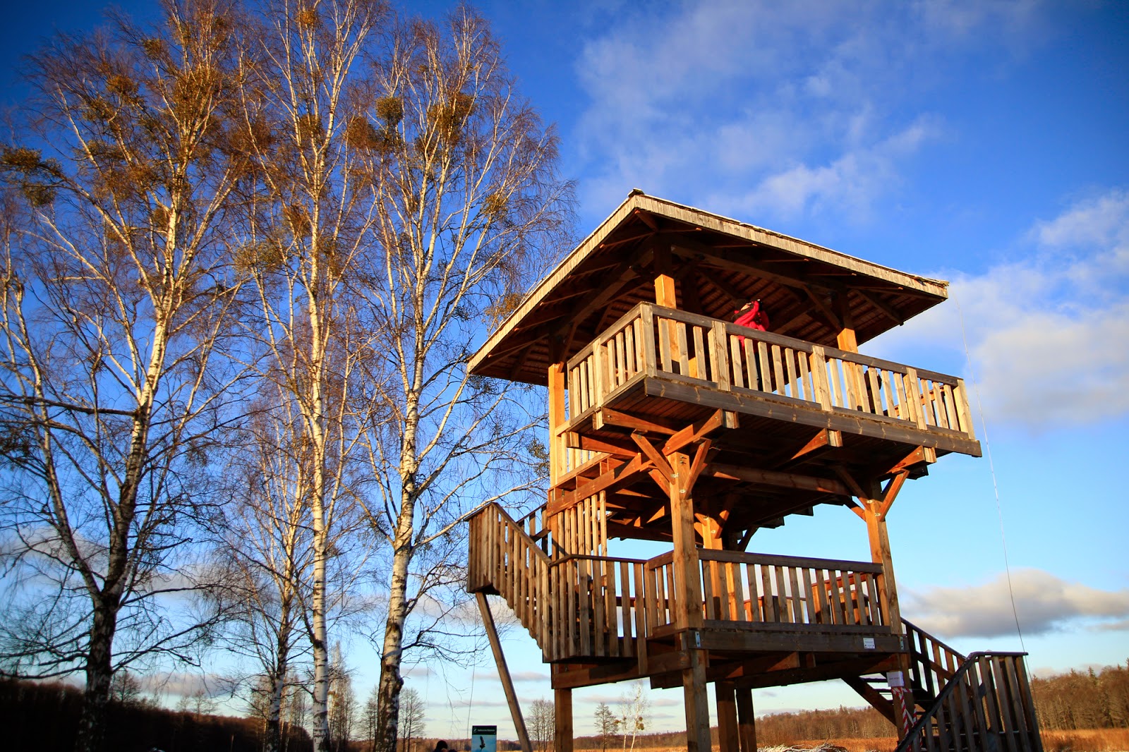 Gwiazdka w Puszczy - Ania w Podróży