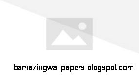 2010 Dodge Charger SRT8 The Fast and the Furious Wiki Wikia 2010 Dodge Charger SRT8 The Fast and the Furious Wiki Wikia