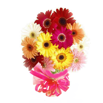 Daisies+flowers+bouquet