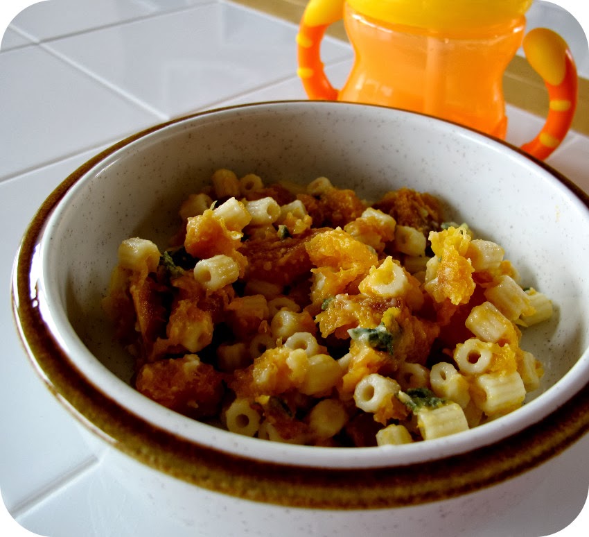 beFOODled Butternut squash and sage pasta for babies