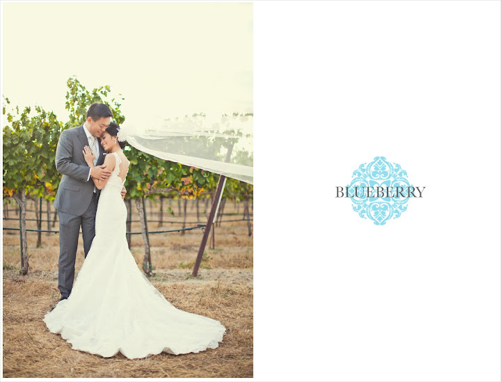 Livermore Pleasanton winery vineyard beautiful outdoor casa real wedding photography