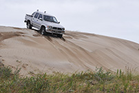 Transito vehicular en playa