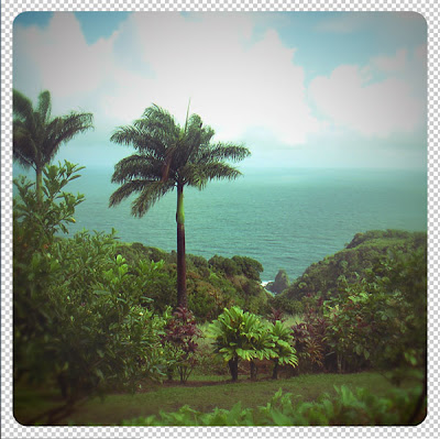 Palm trees and Pacific ocean on the Road to Hana in Maui