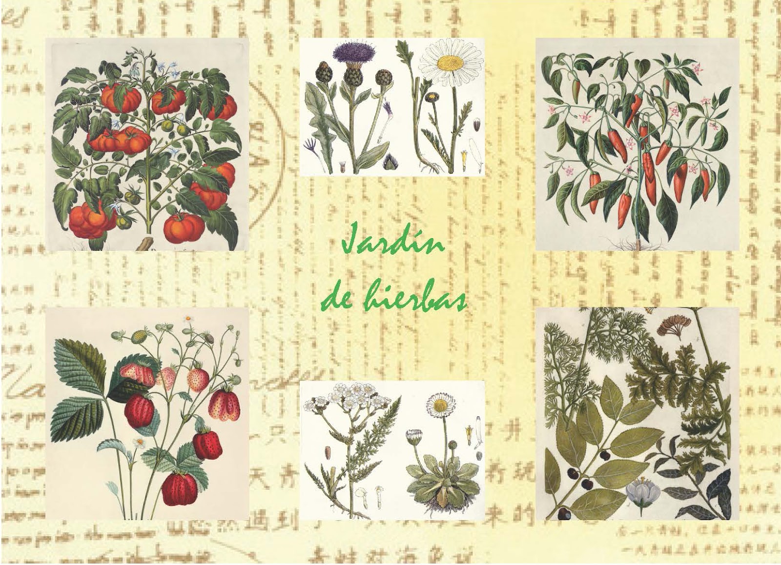 Crea Espacios: Jardín de Hierbas