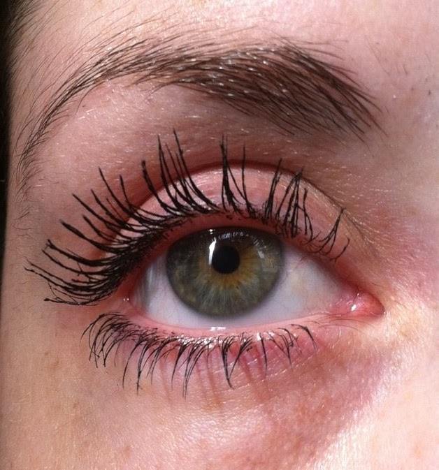 DreamWeave Mascara I Am Fabulicious