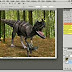 Photoshop Cs4 Elements Video lessons