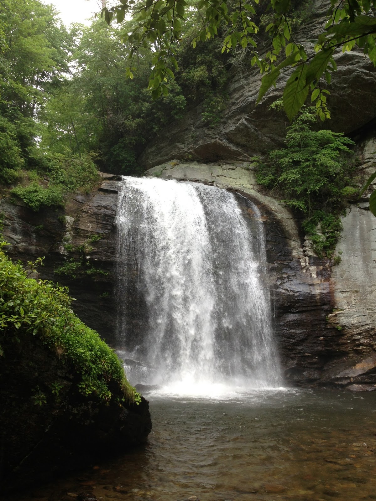 JuneBug Commentary Land of Waterfalls