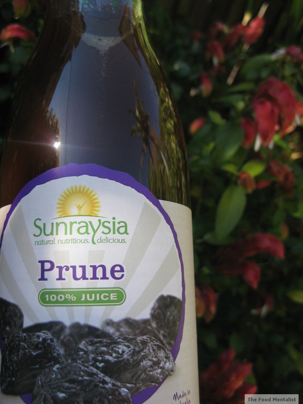 download prune juice for free download prune juice for free
