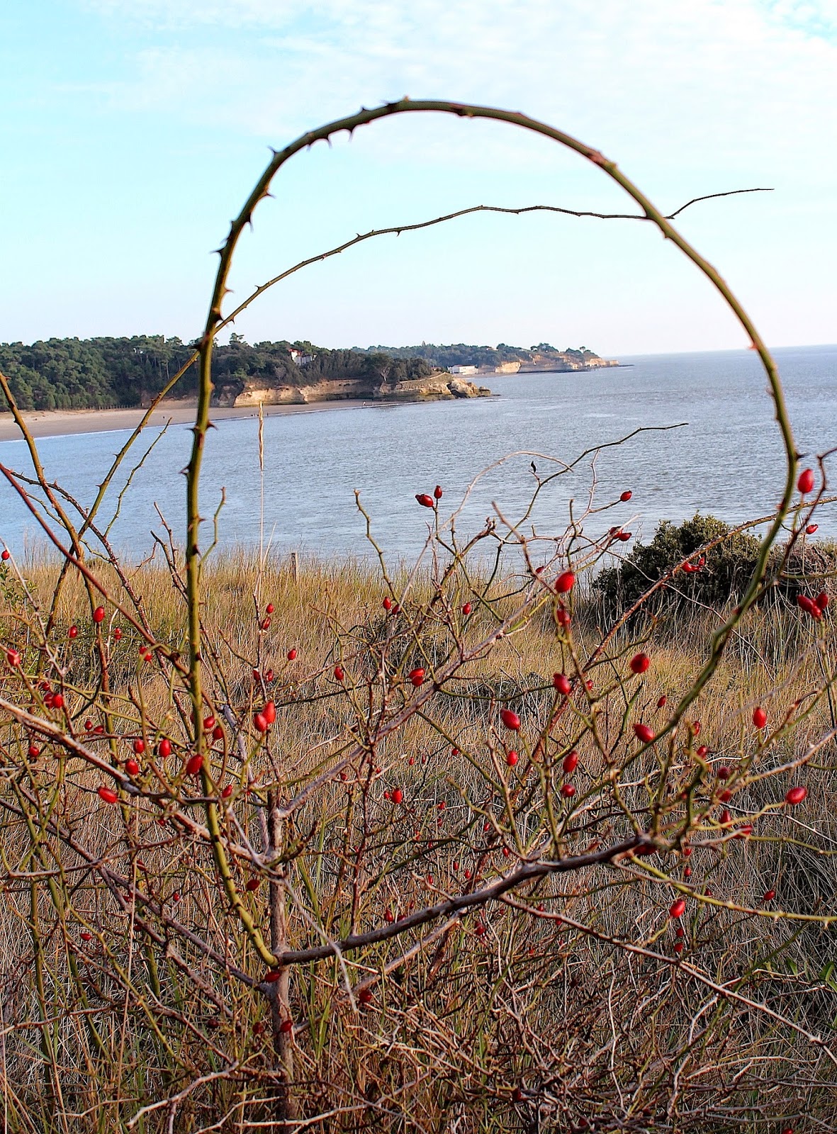relation protégée avec prostituée