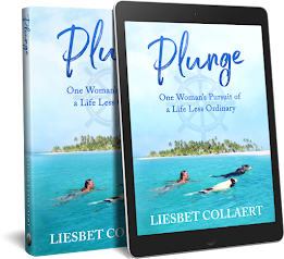 Buy My Sailing Memoir "Plunge" Here (affiliate link):