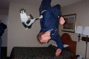 śmieszne zdjęcia koty smieszne zdjecia koty