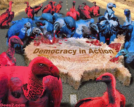 DavidDees-DemocracyInAction.Gif