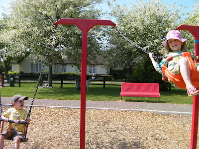 high swingers milton park bucket swings 