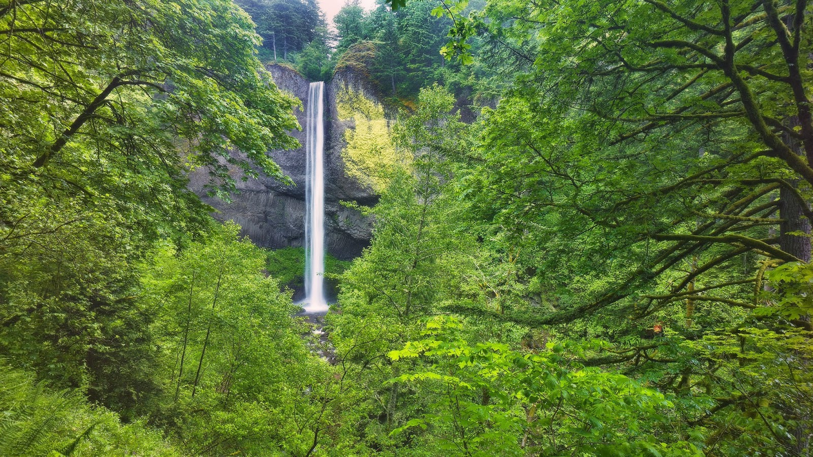 Super HD Wallpapers ~ HD Wallpapers | Free Software | Free Games | Themes