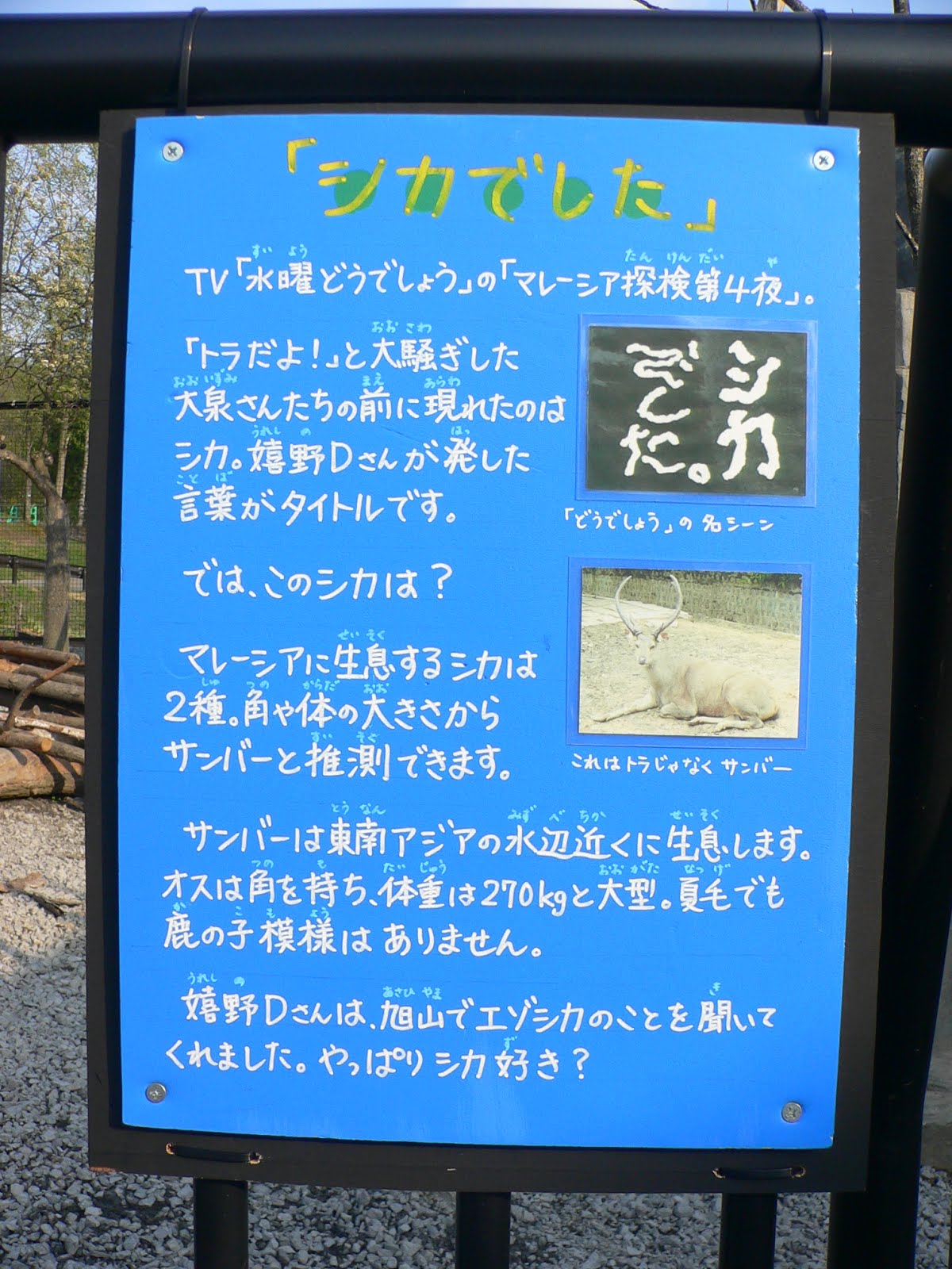 そのｳﾁなれんだろ 看板アーカイブ01 シカでした