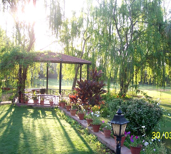 Whispering Willows - Whispering Willows Pics Zirakpur Chandigarh Photo Gallery