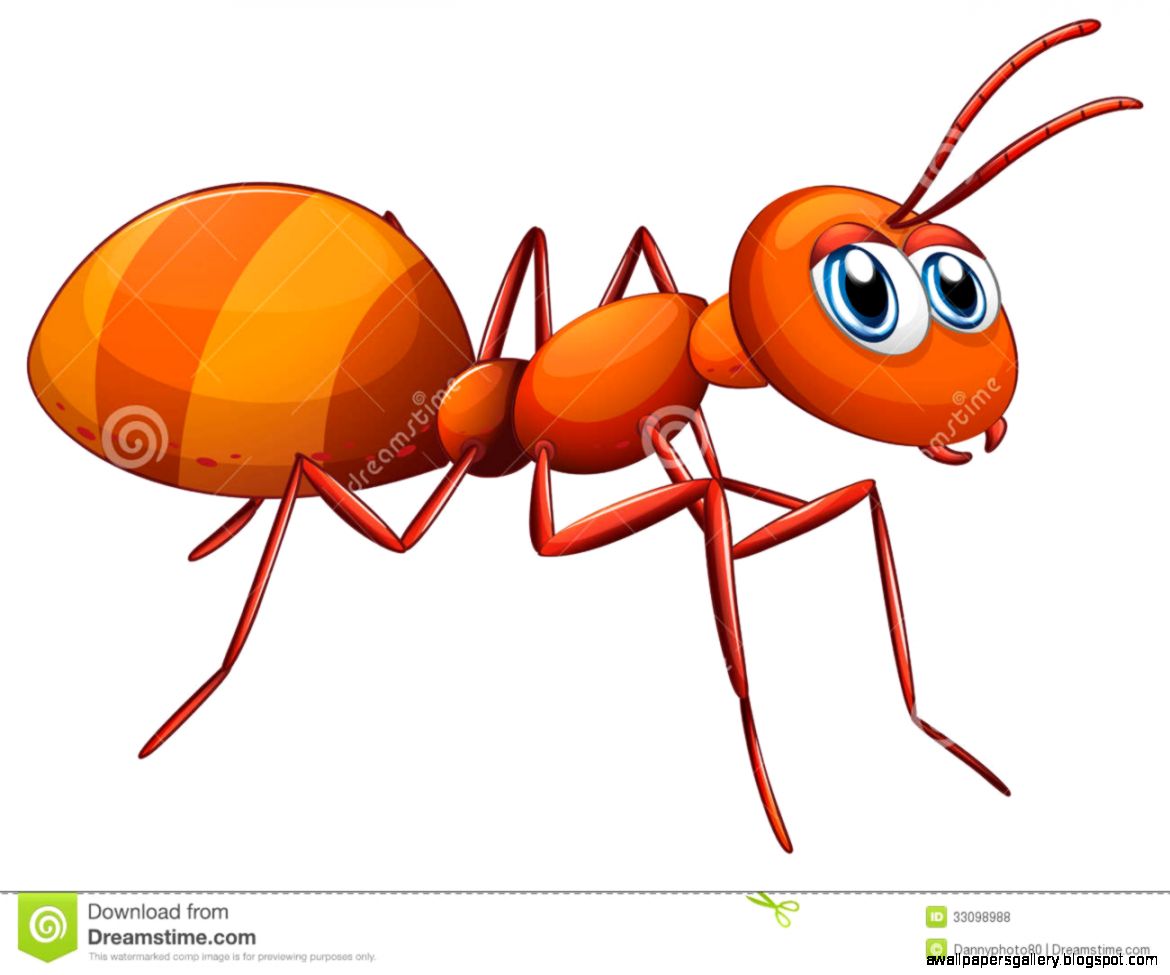 Ant Stock Illustrations Vectors amp Clipart – 2794 Stock Ant Stock Illustrations Vectors amp Clipart – 2794 Stock