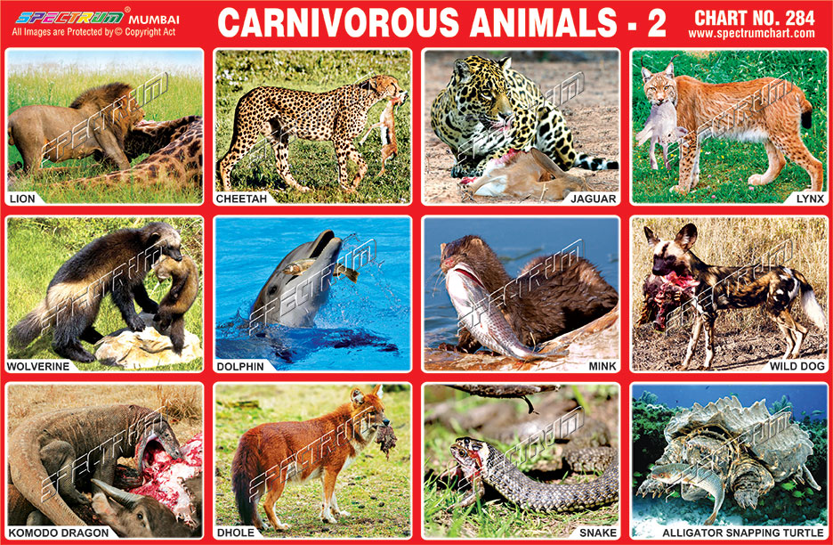 Caterpillar diesel engine specs, bolt torques and manuals