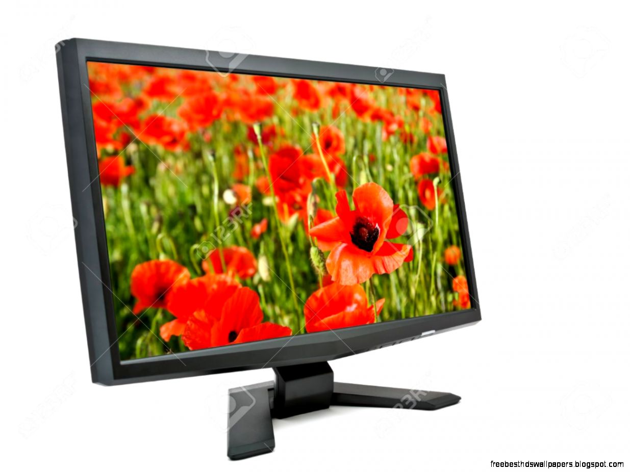 LCD Screen With Gorgeous Summer Landscape View From Perspective LCD Screen With Gorgeous Summer Landscape View From Perspective