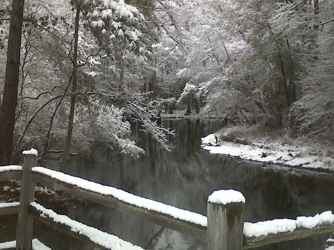 Lumber River State Park Chalk Banks New Fallen Snow