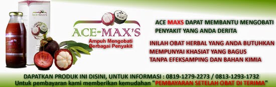 Banner-Ace-Maxs-Artikel2.jpg