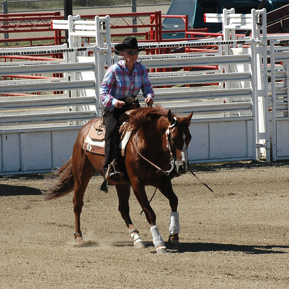Reining Training Tips Stop Fix 2 Stay Soft in the Bridle in Rundown