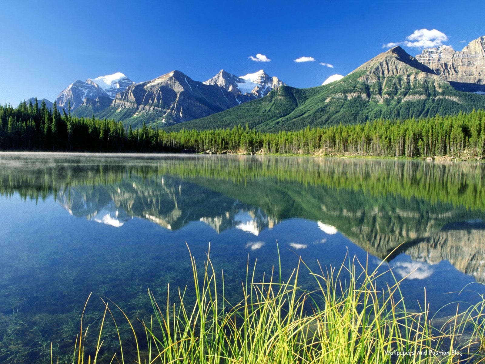 3d Nature Wallpaper For Mobile Phone