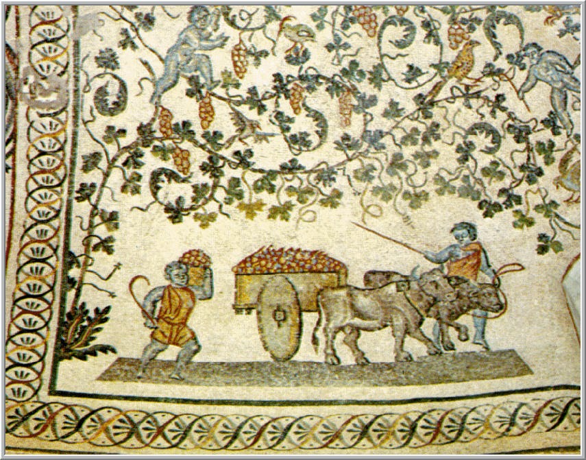 S T R A V A G A N Z A HISTORY OF GRAPE GROWING