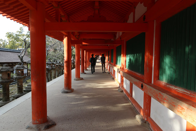 Feeling calm while walking at Kasuga Taisha Shrine Temple in Nara Park, Japan Feeling calm while walking at Kasuga Taisha Shrine Temple in Nara Park, Japan
