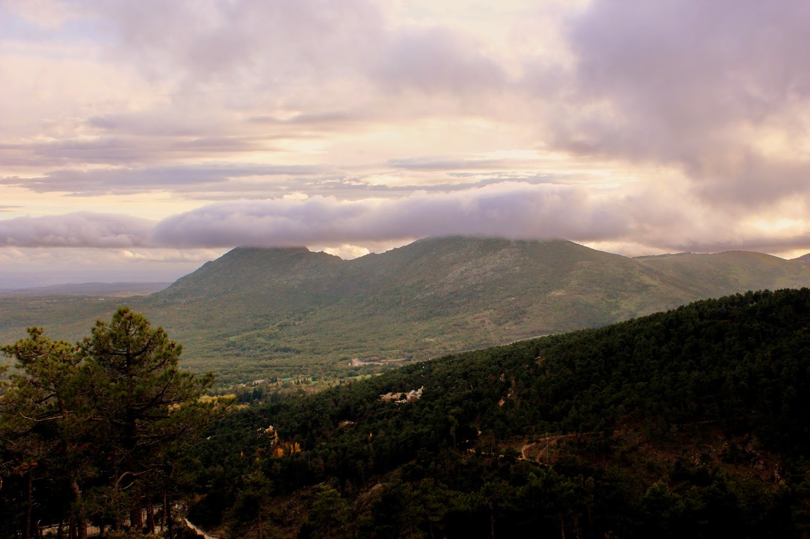 Pico de las Machotas. Bosque de Abantos