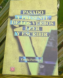 Pasado y presente de los verbos leer y escribir